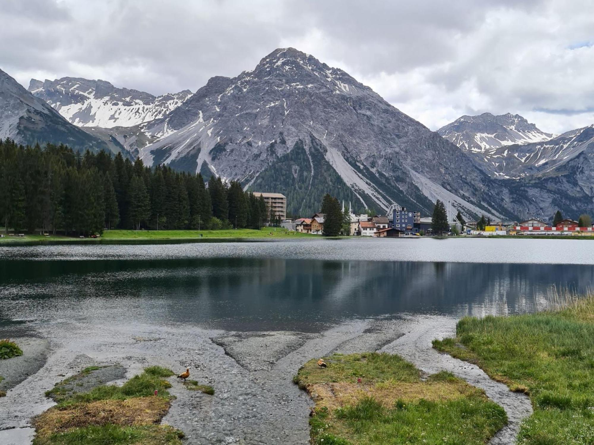 Fewo D'Rock Arosa- Center Of Nightlife By Nature Apartments Switzerland Exteriör bild